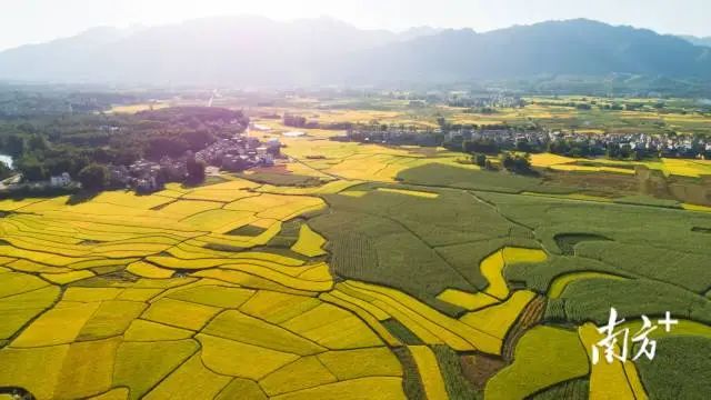 全域土地综合整治，韶关全域土地综合整治，乳源全域土地综合整治3