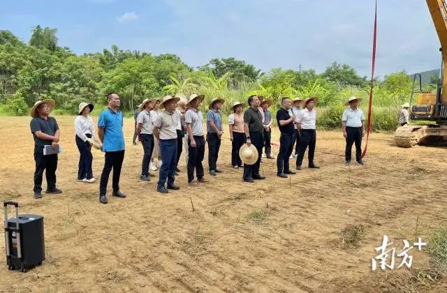 全域土地综合整治，广东全域土地综合整治，华城镇全域土地综合整治3