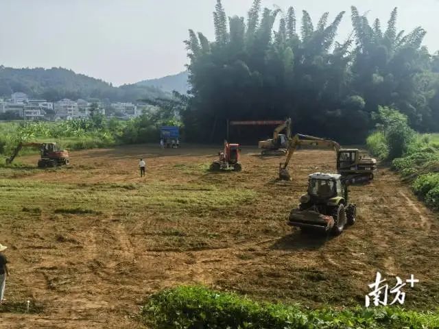 全域土地综合整治，广东全域土地综合整治，华城镇全域土地综合整治5