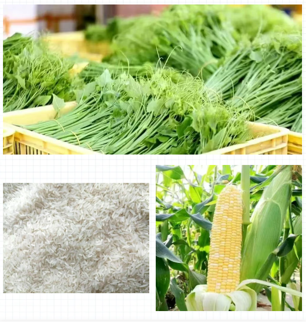 全域土地综合整治，广东全域土地综合整治，肇庆全域土地综合整治，广宁全域土地综合整治3