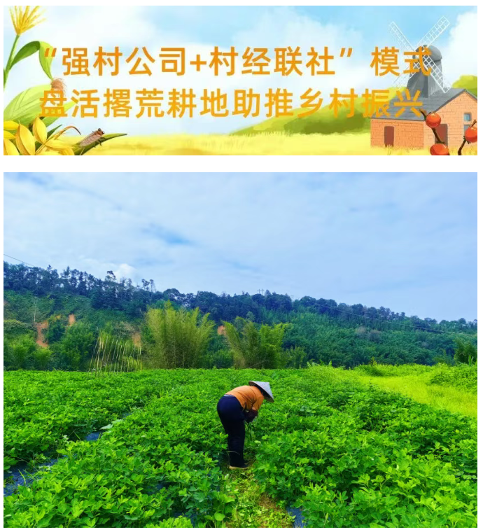 全域土地综合整治，广东全域土地综合整治，肇庆全域土地综合整治，广宁全域土地综合整治8