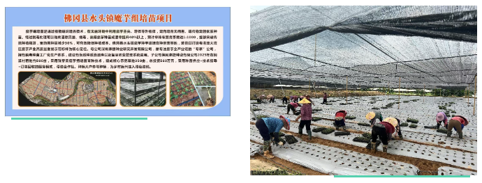 全域土地综合整治，广东全域土地综合整治，清远全域土地综合整治，佛冈全域土地综合整治4