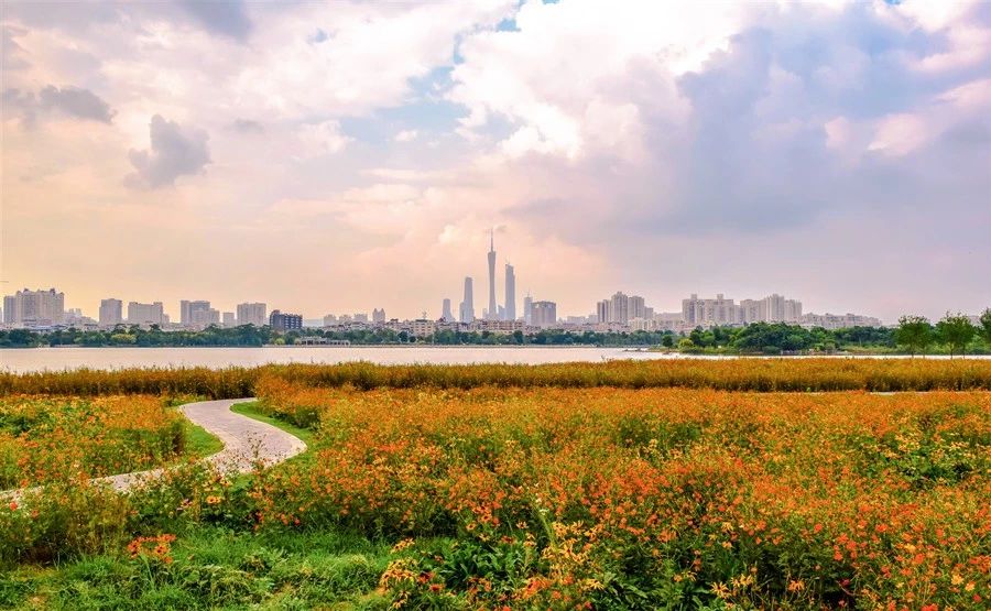 全域土地综合整治，广东全域土地综合整治，广州全域土地综合整治，广州湿地保护规划2