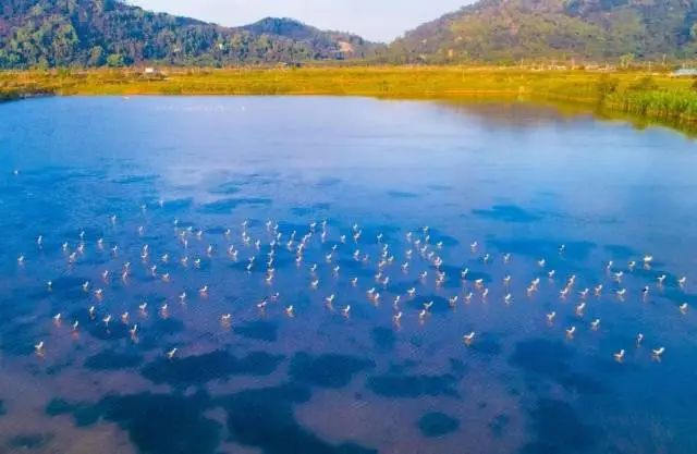 全域土地综合整治,广东全域土地综合整治,珠海全域土地综合整治,红树林1 全域土地综合整治,广东全域土地综合整治,珠海全域土地综合整治,红树林1