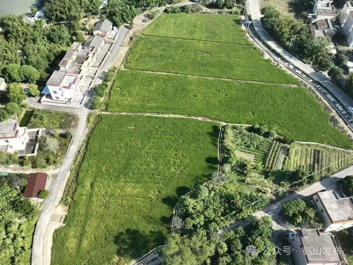 全域土地综合整治，广东全域土地综合整治，鹤山全域土地综合整治，百千万工程，广东百千万工程，鹤山百千万工程3