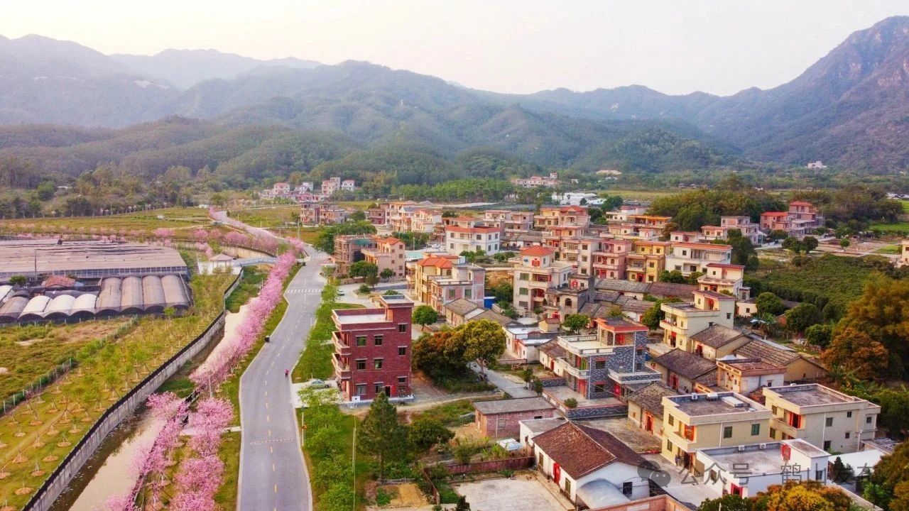 全域土地综合整治，广东全域土地综合整治，鹤山全域土地综合整治，百千万工程，广东百千万工程，鹤山百千万工程5