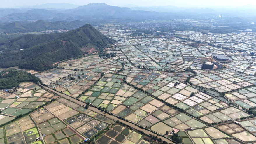 全域土地综合整治，广东全域土地综合整治，高要区全域土地综合整治，肇庆全域土地综合整治4