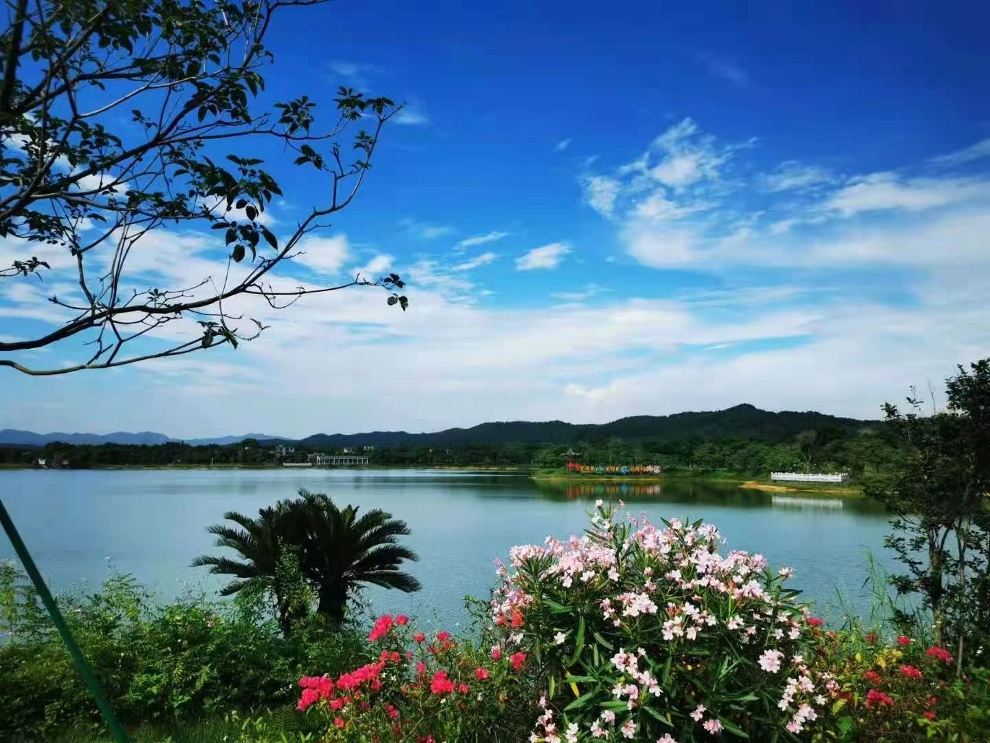 全域土地综合整治，广东全域土地综合整治，广州全域土地综合整治，花都全域土地综合整治4