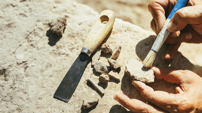 智慧博物馆，《推进世界一流考古机构建设指南（试行）》印发