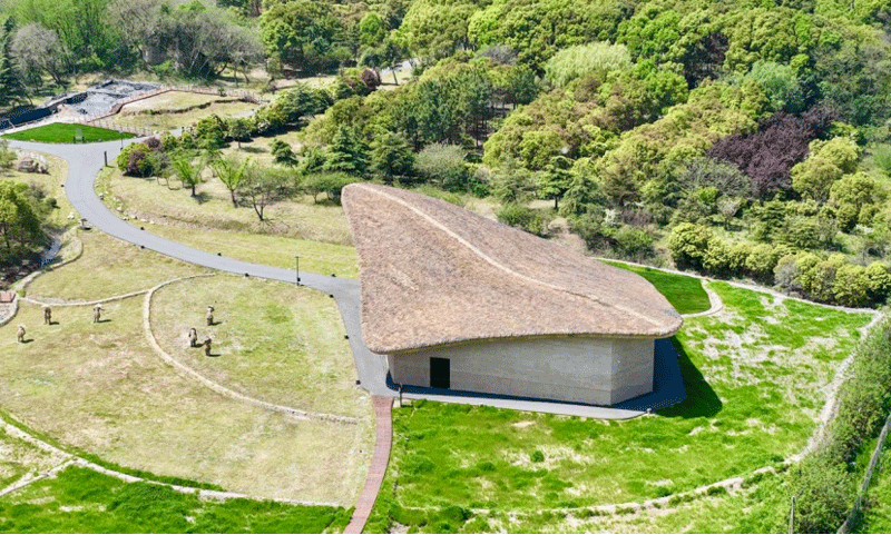 智慧博物馆，大遗址保护利用工作会议召开