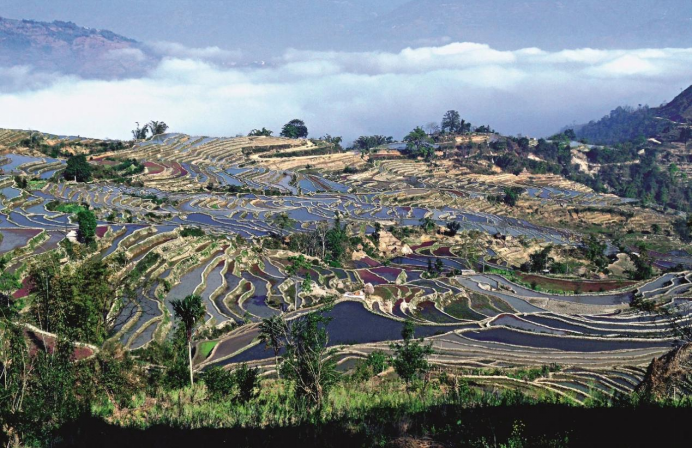 智慧博物馆，乡村振兴2