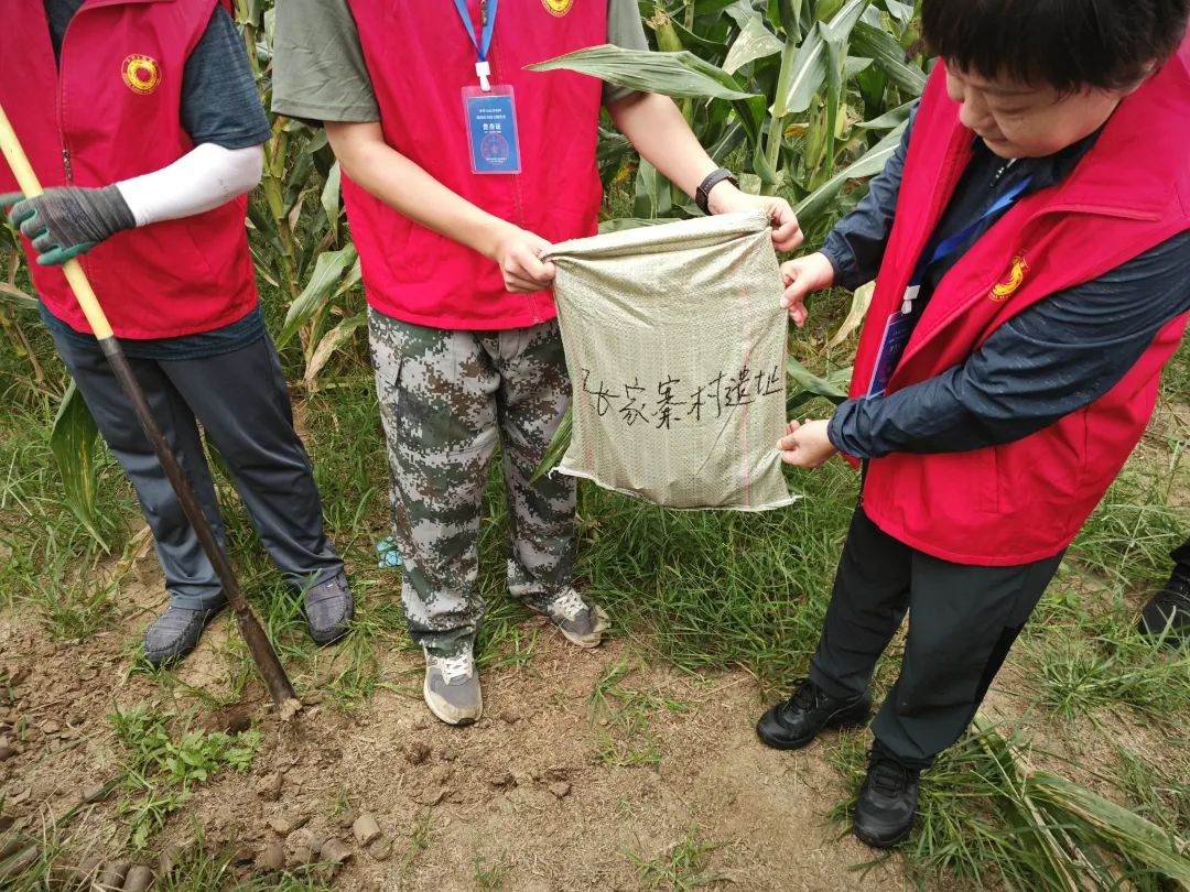 智慧博物馆，山东智慧博物馆1