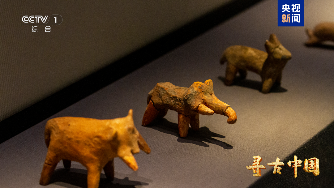 智慧博物馆,智慧考古,智慧博物馆建设,智慧博物馆解决方案,寻古中国,水下考古4 智慧博物馆,智慧考古,智慧博物馆建设,智慧博物馆解决方案,寻古中国,水下考古4