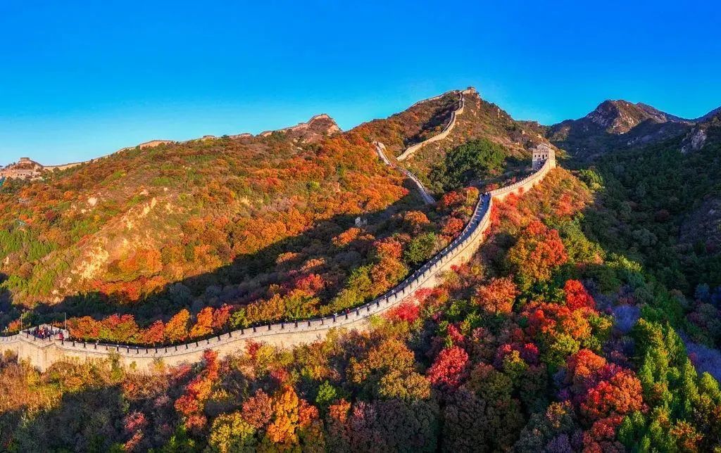 智慧博物馆，智慧博物馆建设，智慧博物馆解决方案，文物保护，文物数字化保护8