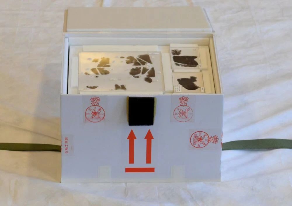 智慧博物馆，智慧博物馆建设，智慧博物馆解决方案，文物数字化保护2