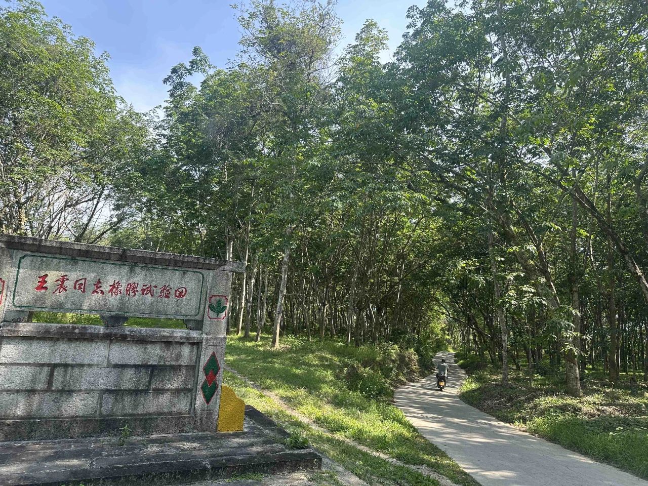 智慧博物馆，智慧博物馆建设，智慧博物馆解决方案，广东智慧博物馆建设，文物普查，第四次全国文物普查5